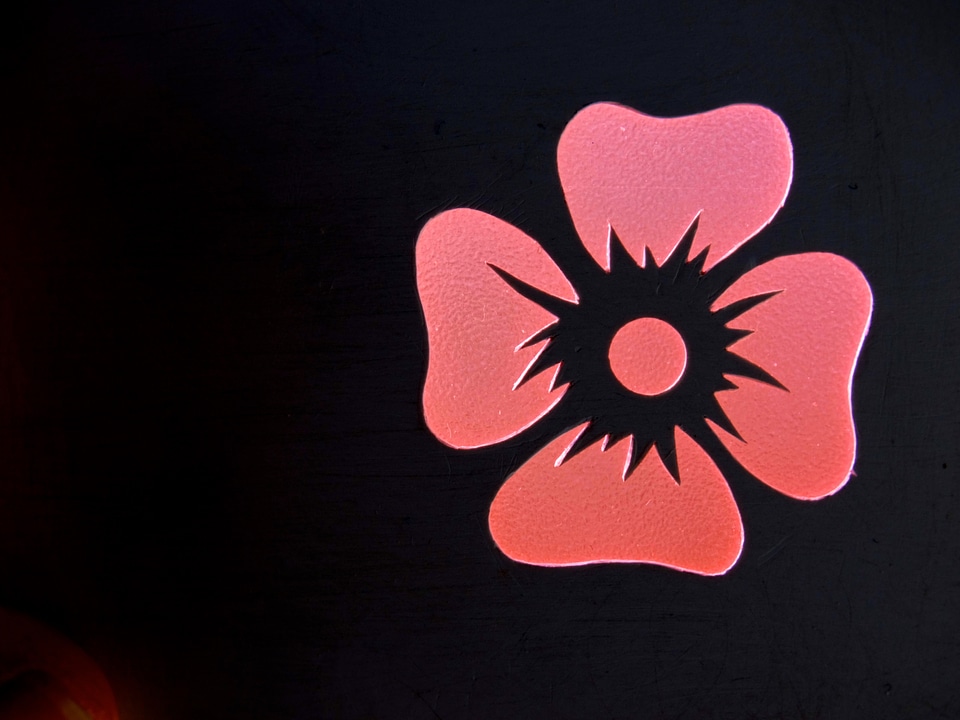 Pink outlines silhouette