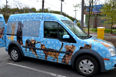 Guinea pig transport hub photo