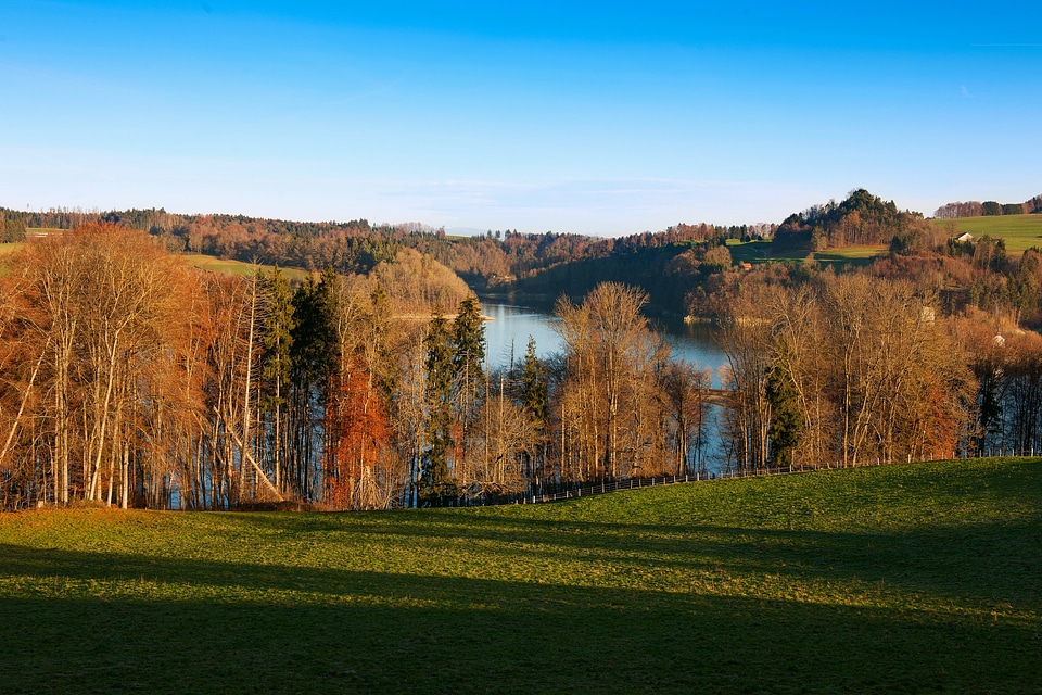 The scenery blue sky grassland