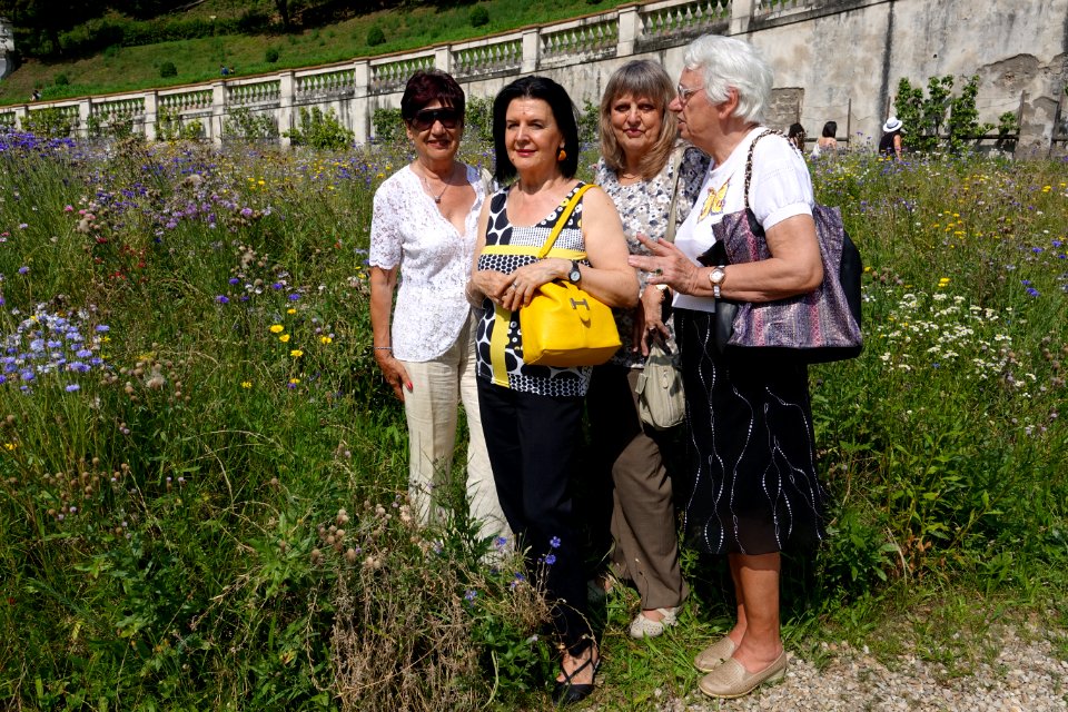 Villa della Regina 26/06/2016