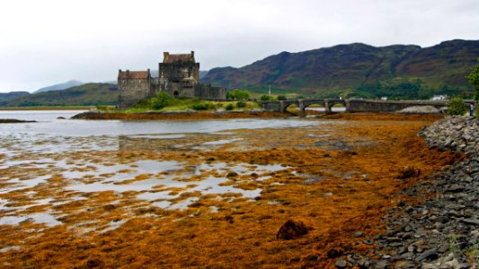 Eilean Donnan Castle on the banks of Loch Duich photo