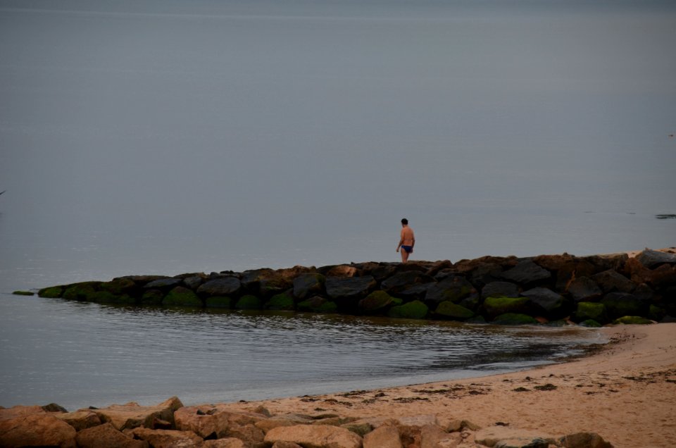 Back to the Ocean