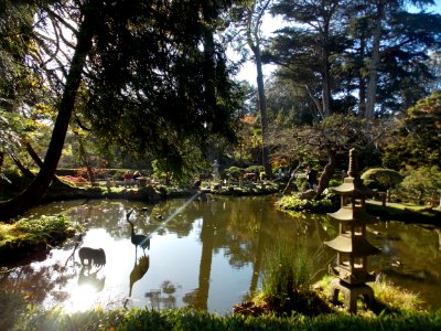 Japanese Tea Garden lake photo