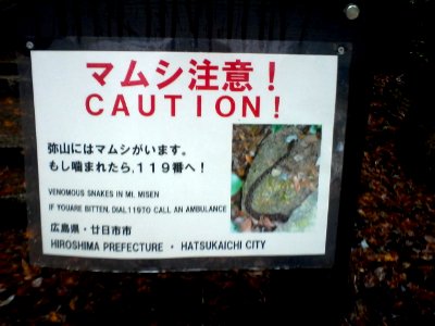 More dangerous snakes in Japan photo