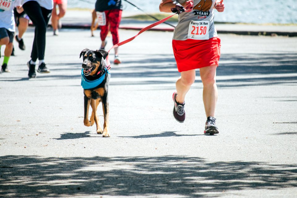 IschelleMartin-furry5k-280