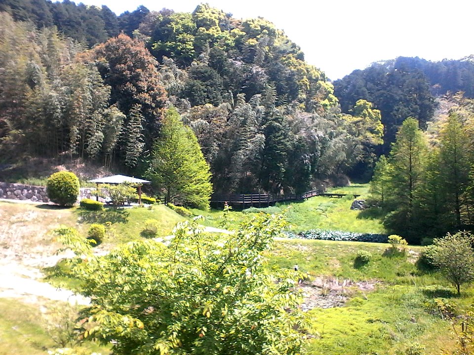 So peaceful