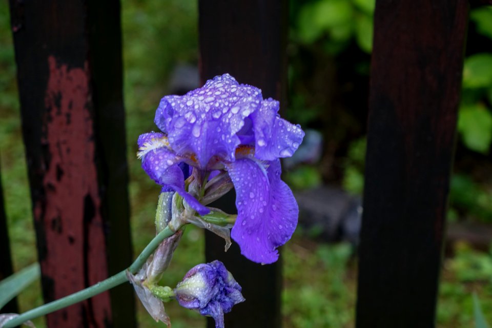 DSC00002