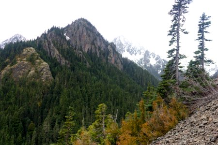 falls view canyon-upper big quilcene 30
