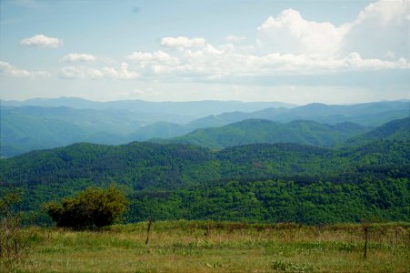 DSC00813 (2)