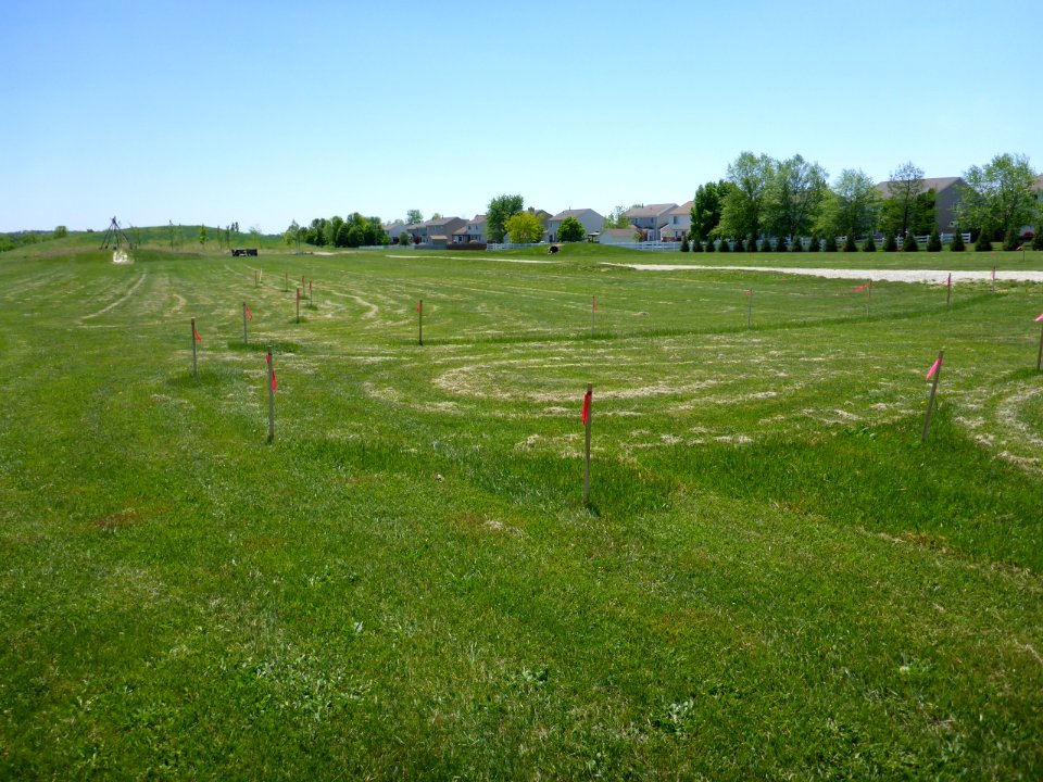 P1000033