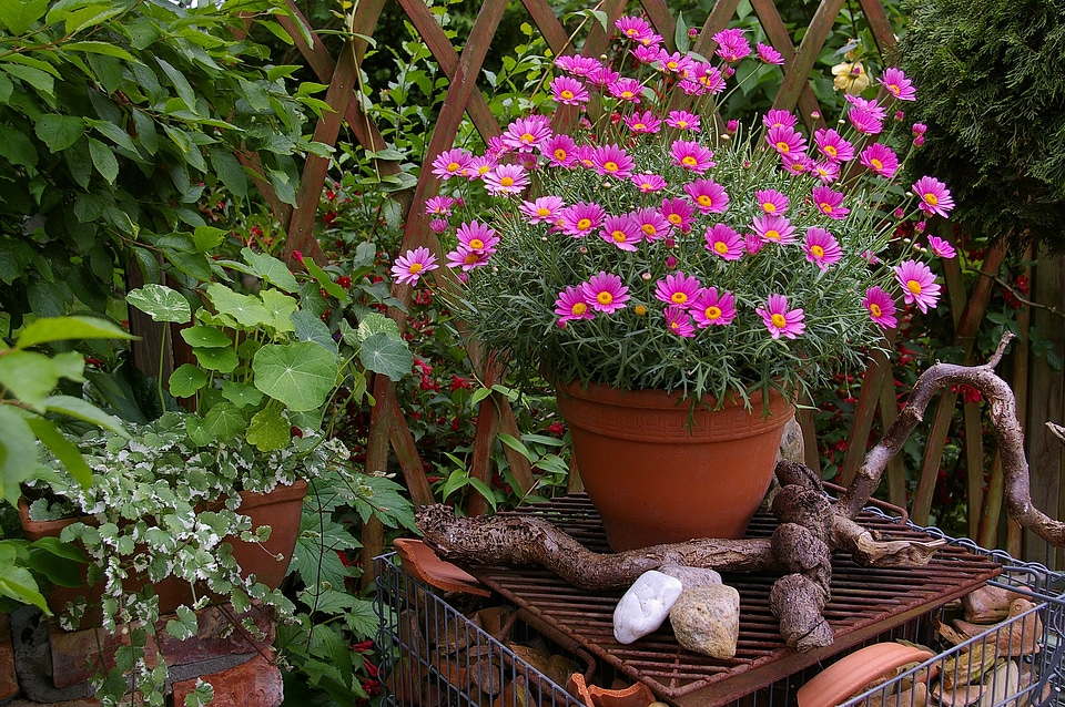 Fired clay deco garden