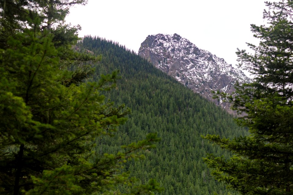 falls view canyon-upper big quilcene 27