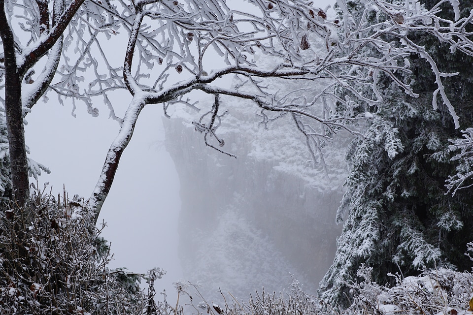Switzerland cliff fog