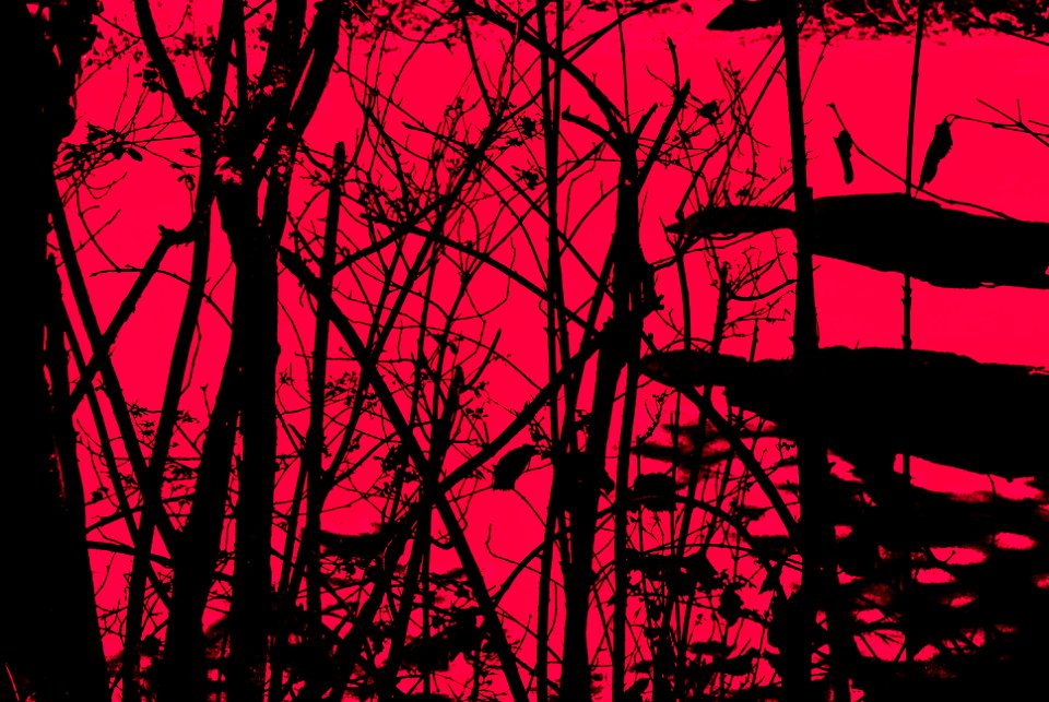 Planeta Rojo