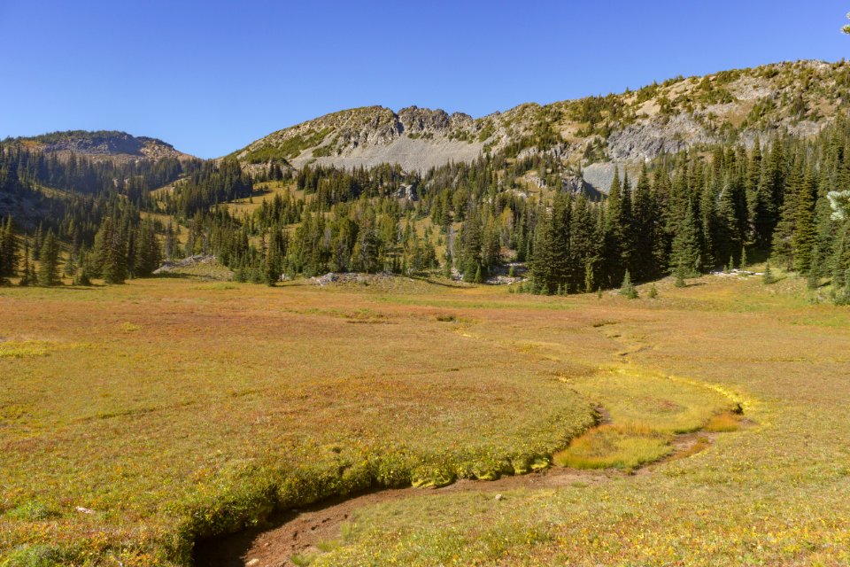 wonderland trail 13