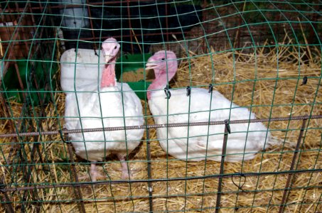 Image00023