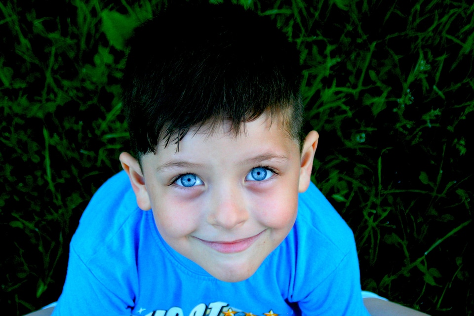 Portrait blue grass