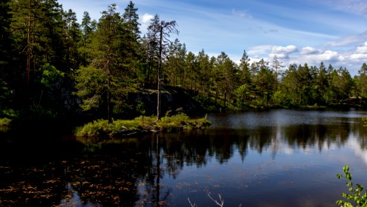 Highland pond