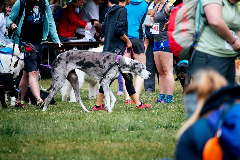 IschelleMartin-furry5k-63
