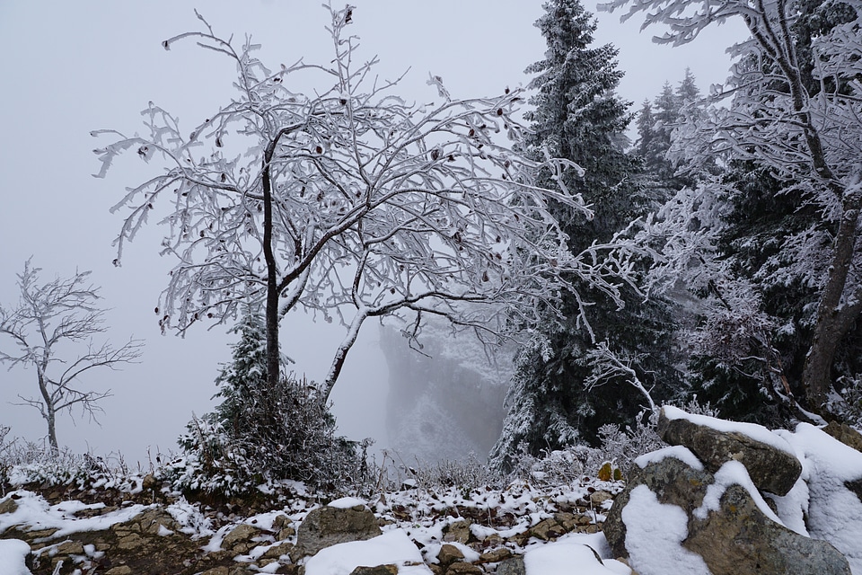 Switzerland cliff fog