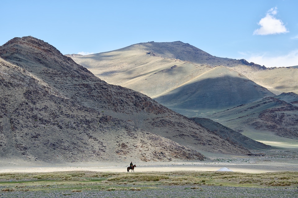 Rider horse landscape