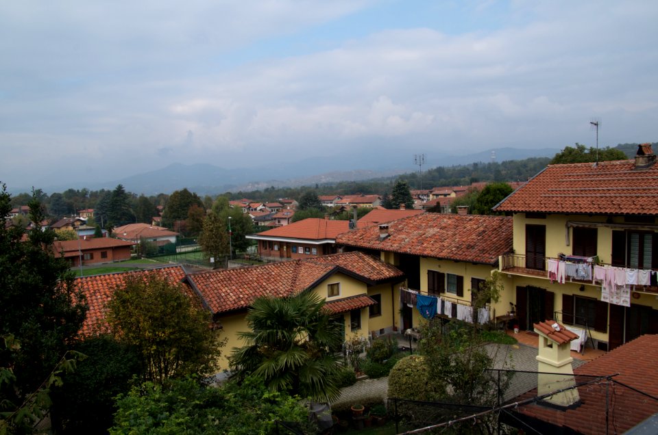 IMGP0019