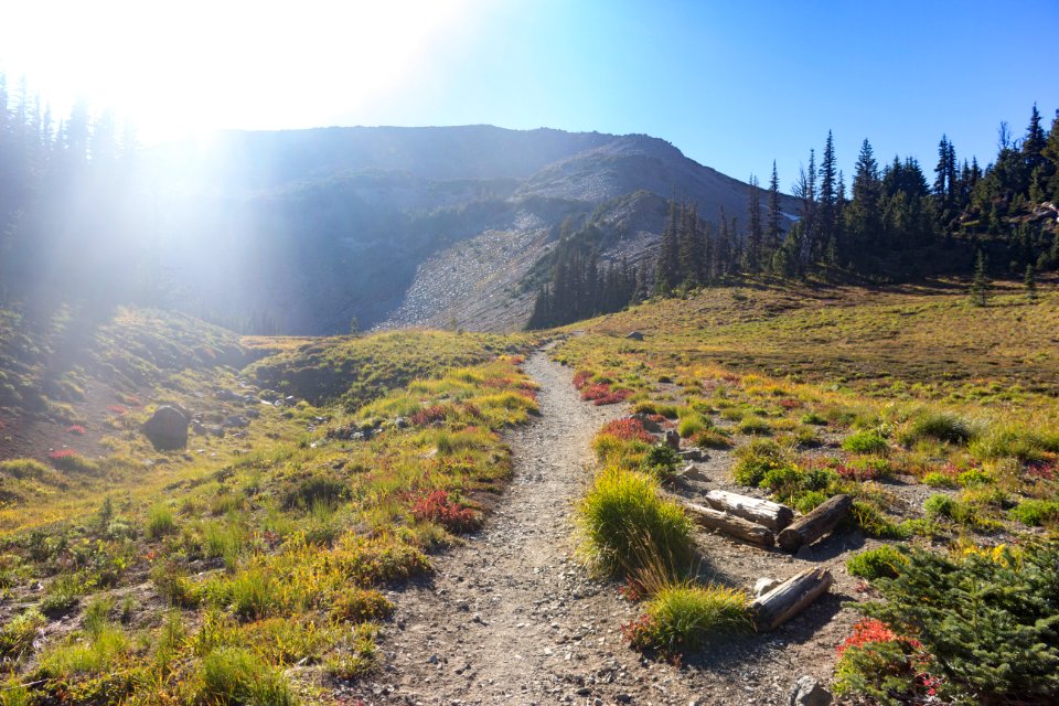 wonderland trail 17