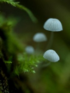 IMG 0463b