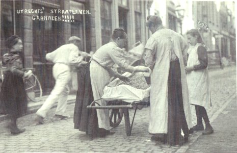 Haverstraat - Hein de Zevenneus