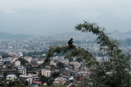 Nepal - Kathmandu photo