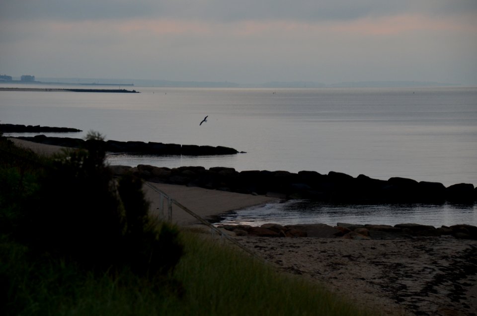 Back to the Ocean