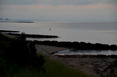 Back to the Ocean