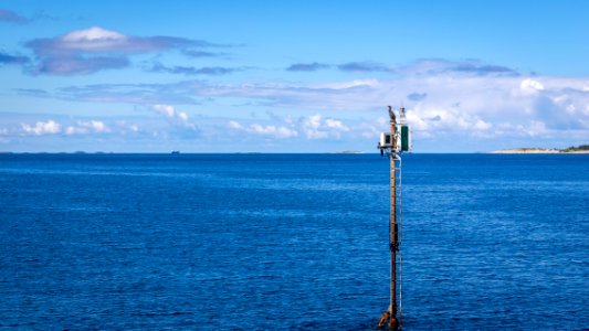 Cormorant watchtower
