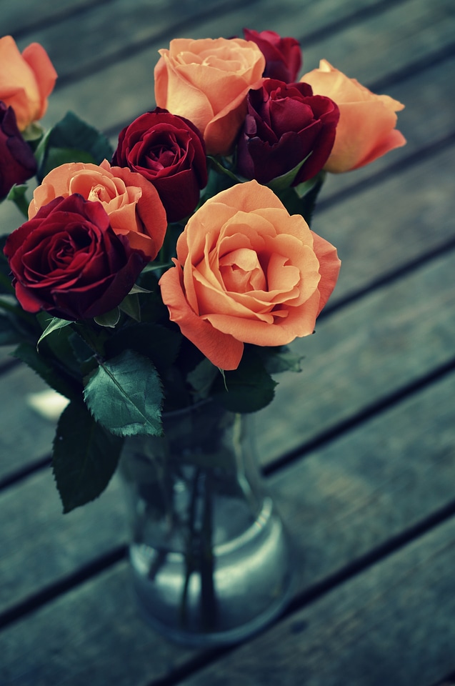 Design retro floral