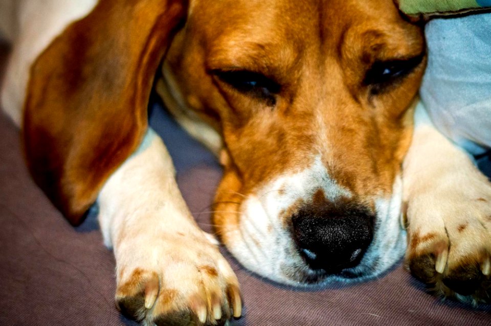 Tired!