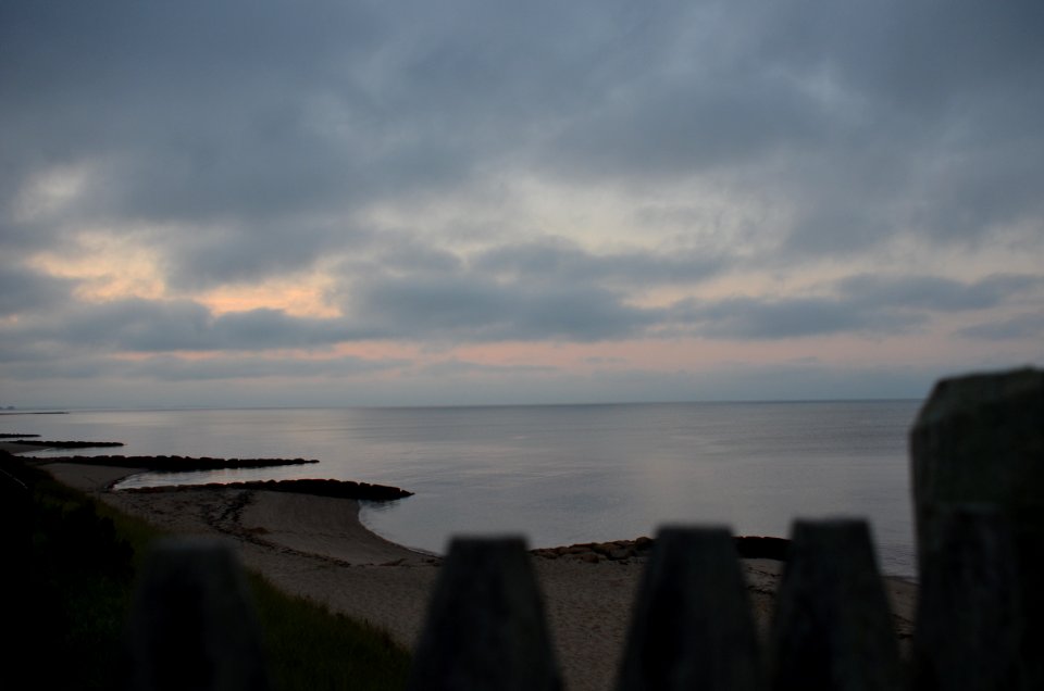 Back to the Ocean