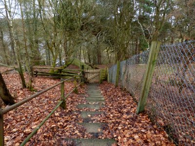 Stais down to Lambly Viaduct