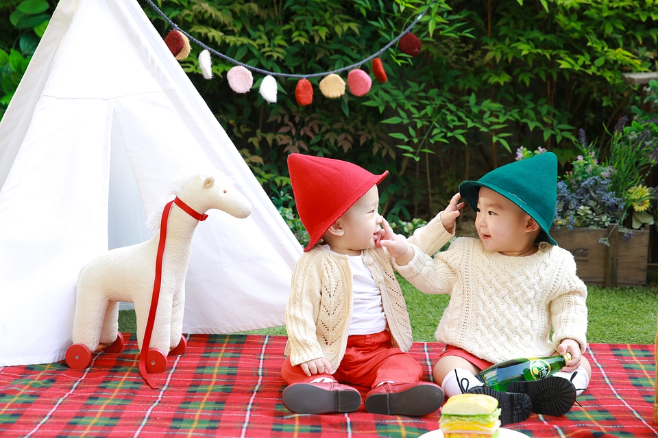 Love brothers picnic