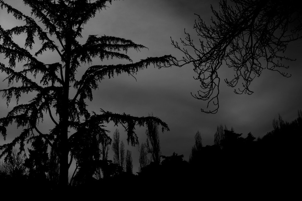 Tributo a Edgar Allan Poe