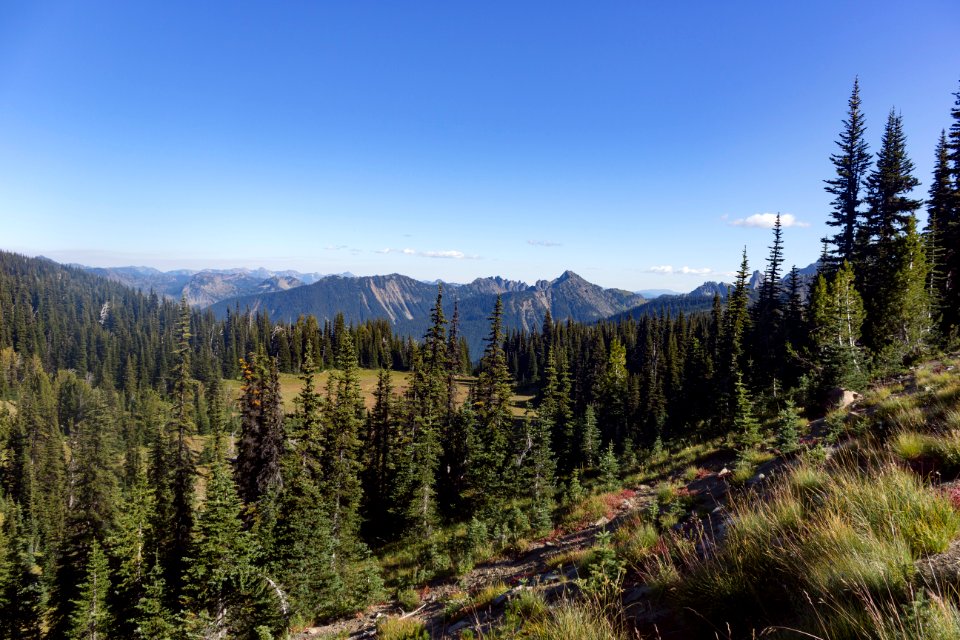wonderland trail 16