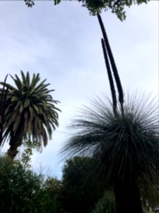 Moonee Ponds, Melbourne ‘Queens Park’