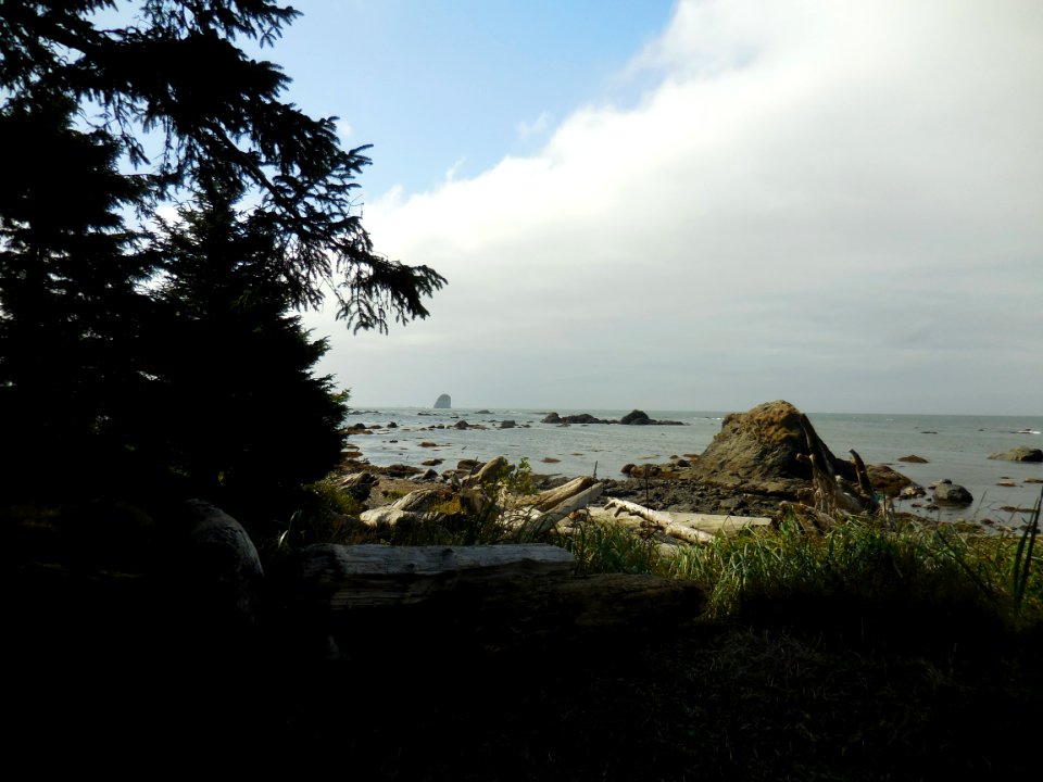 wilderness coast north ozette triangle beach c bubar july 2014