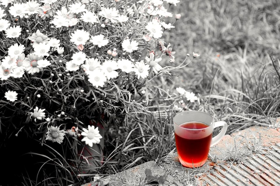 khaled-photo ✤