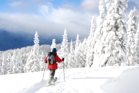 Snowshoeing winter Hurrican ridge people NPS Photo 12-08 NPS photo