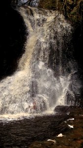 Hareshaw Linn