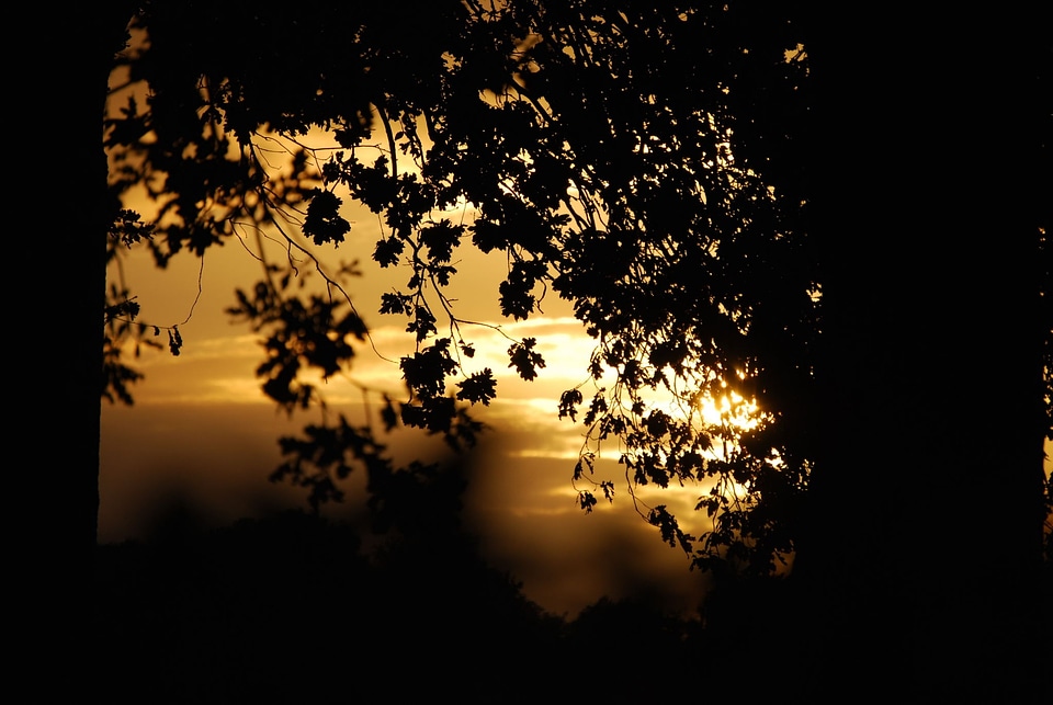 Darkness sunset silhouette