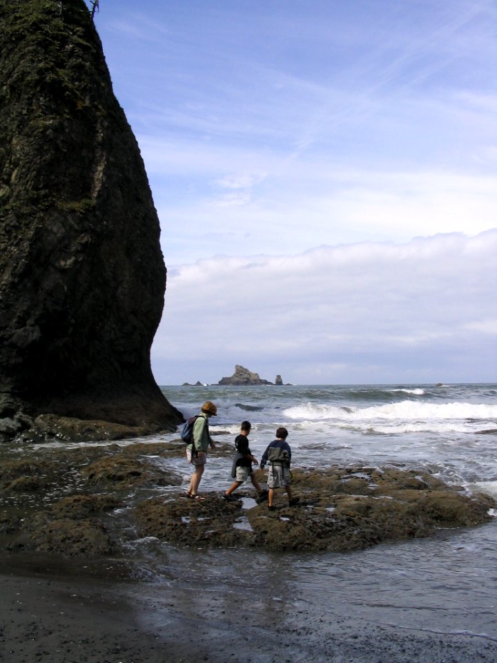 Rialto Beach - Tide pools and Kids