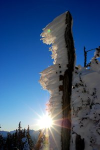 Rime ice hurricane ridge winter scenic NPS Photo