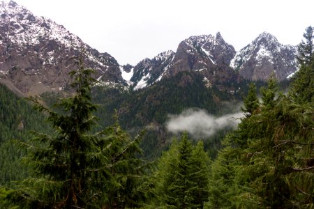 falls view canyon-upper big quilcene 29