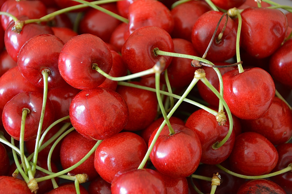 Cherry red fruits red